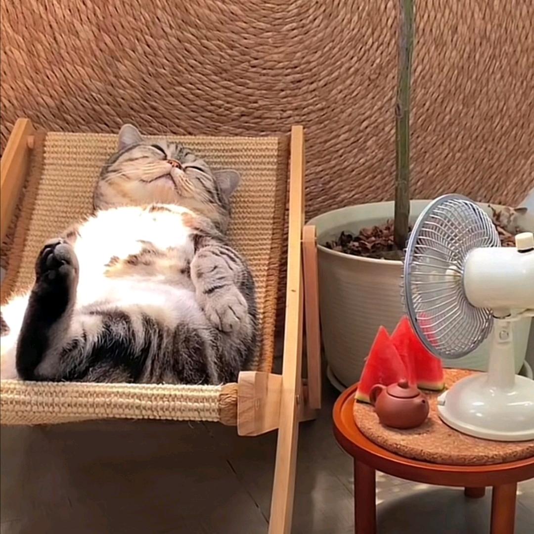 万达看房乔帮主🌈