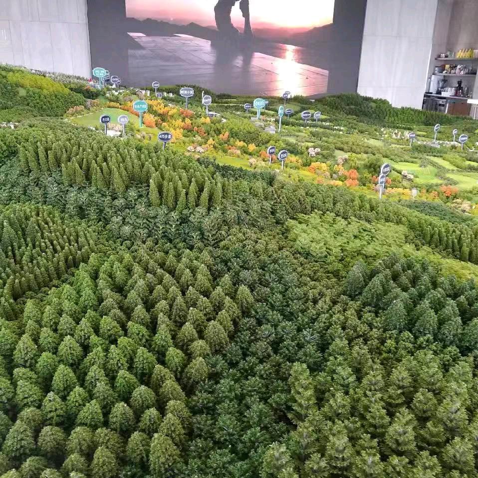 映山红