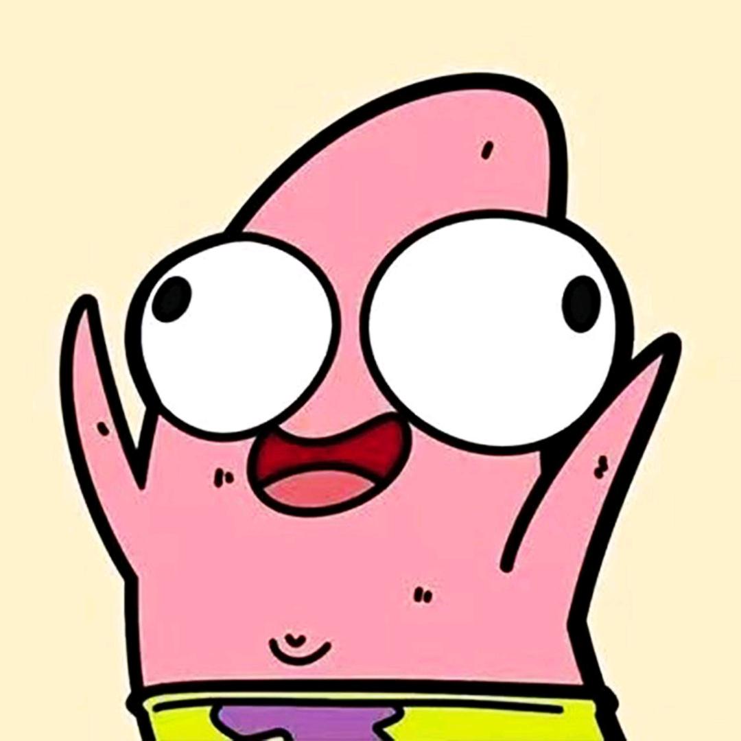 你这个小笨猪🐷