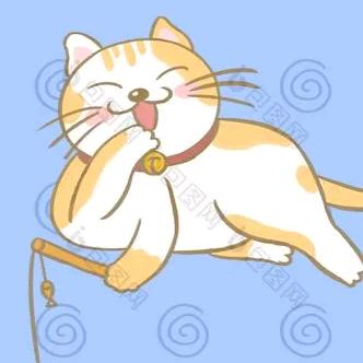 猫猫爱分享（好物）