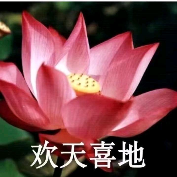 幸福安康