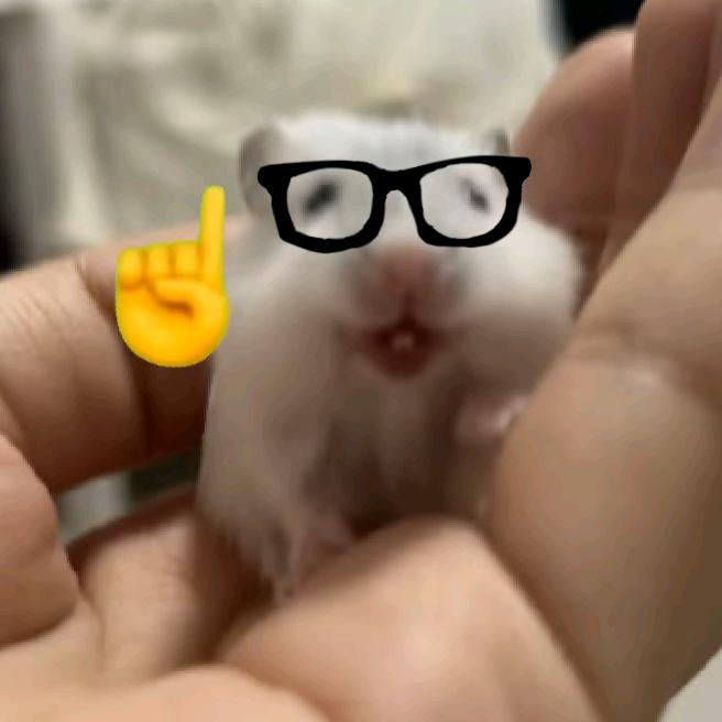 一条鱼.