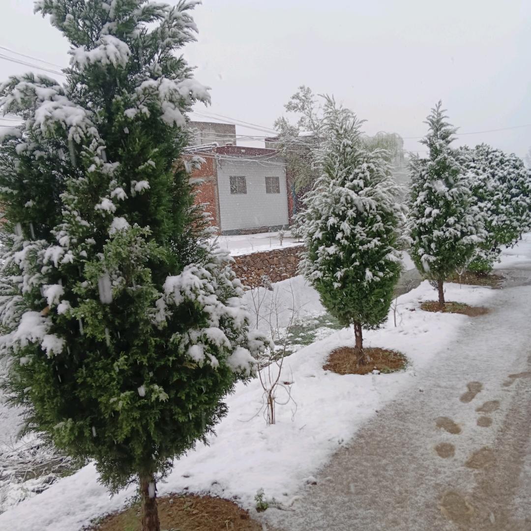 用户70140779梁梁