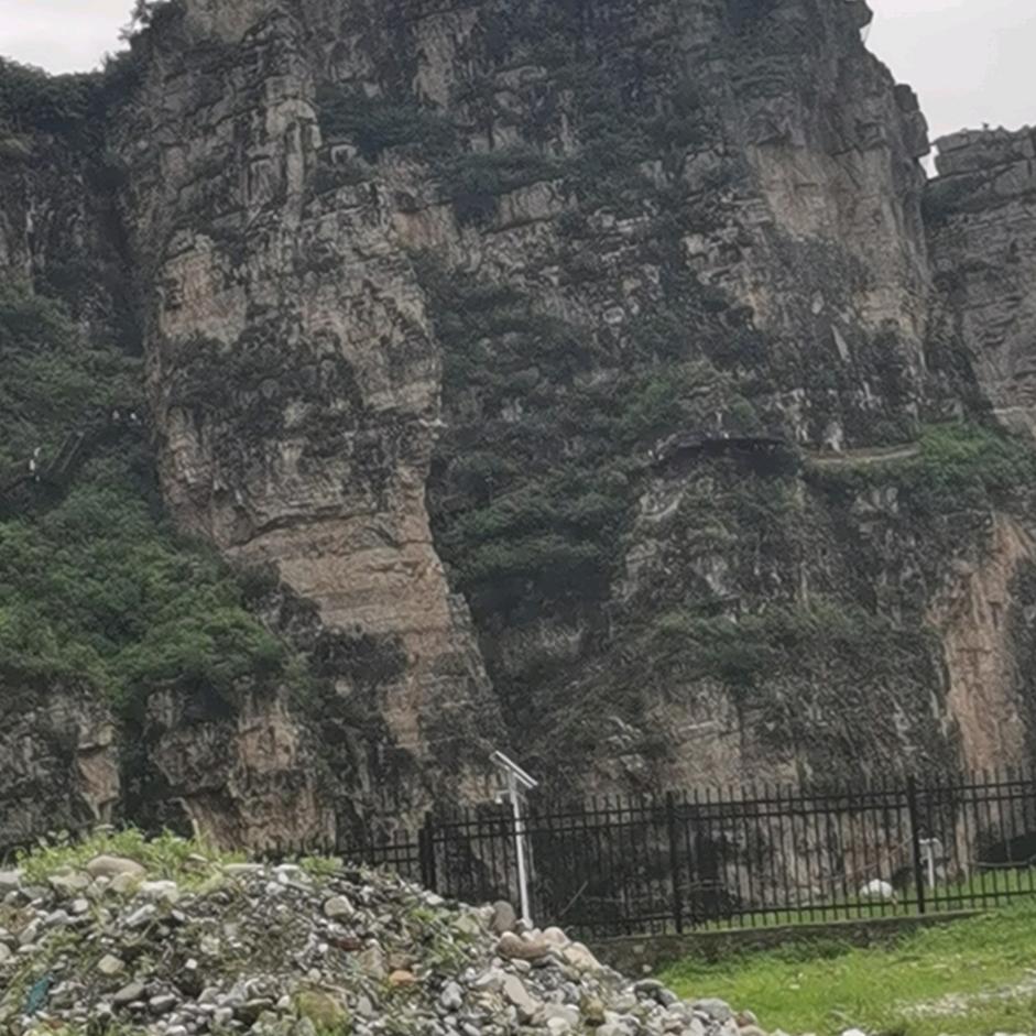 爱你没商量