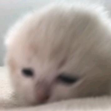 休恋逝水