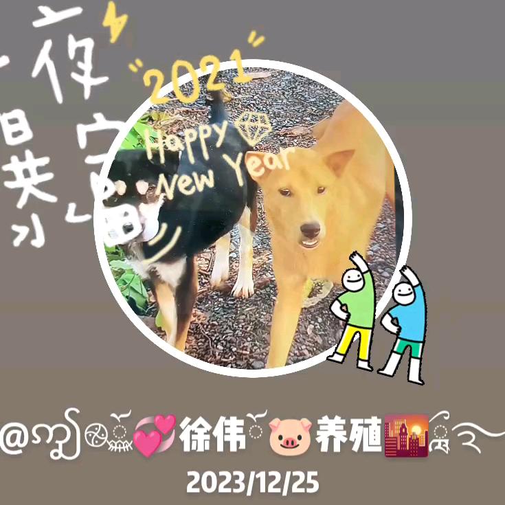 农村阿伟🐐🐷🐶