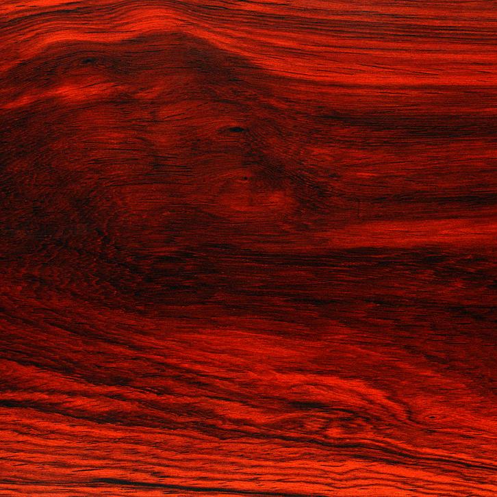 斌哥［从头开始］