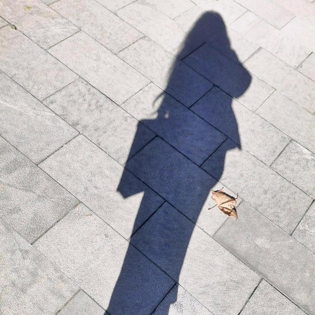 四姑娘🤗