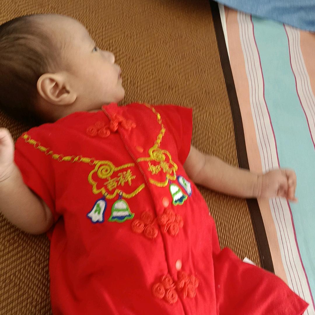 花开福贵常年