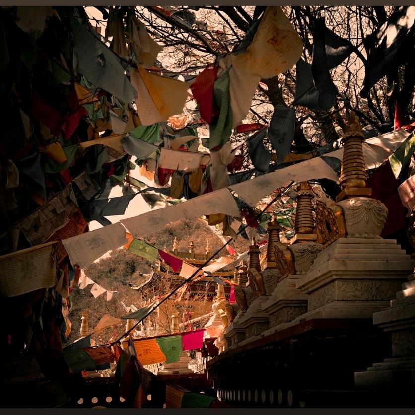 ࿐སྣང་བ་།