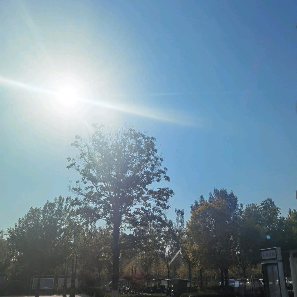 💞༊ღ᭄李家ꦿ꯭菇涼꧔ꦿ᭄💞