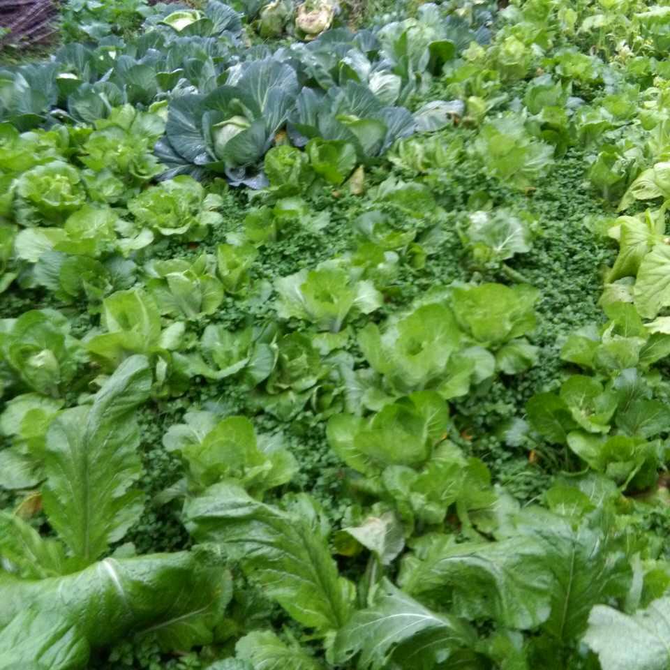 河北香河酒店家具源头厂家接手定制。