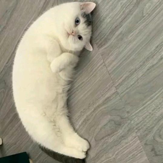 娜拉渽min🐰🌙