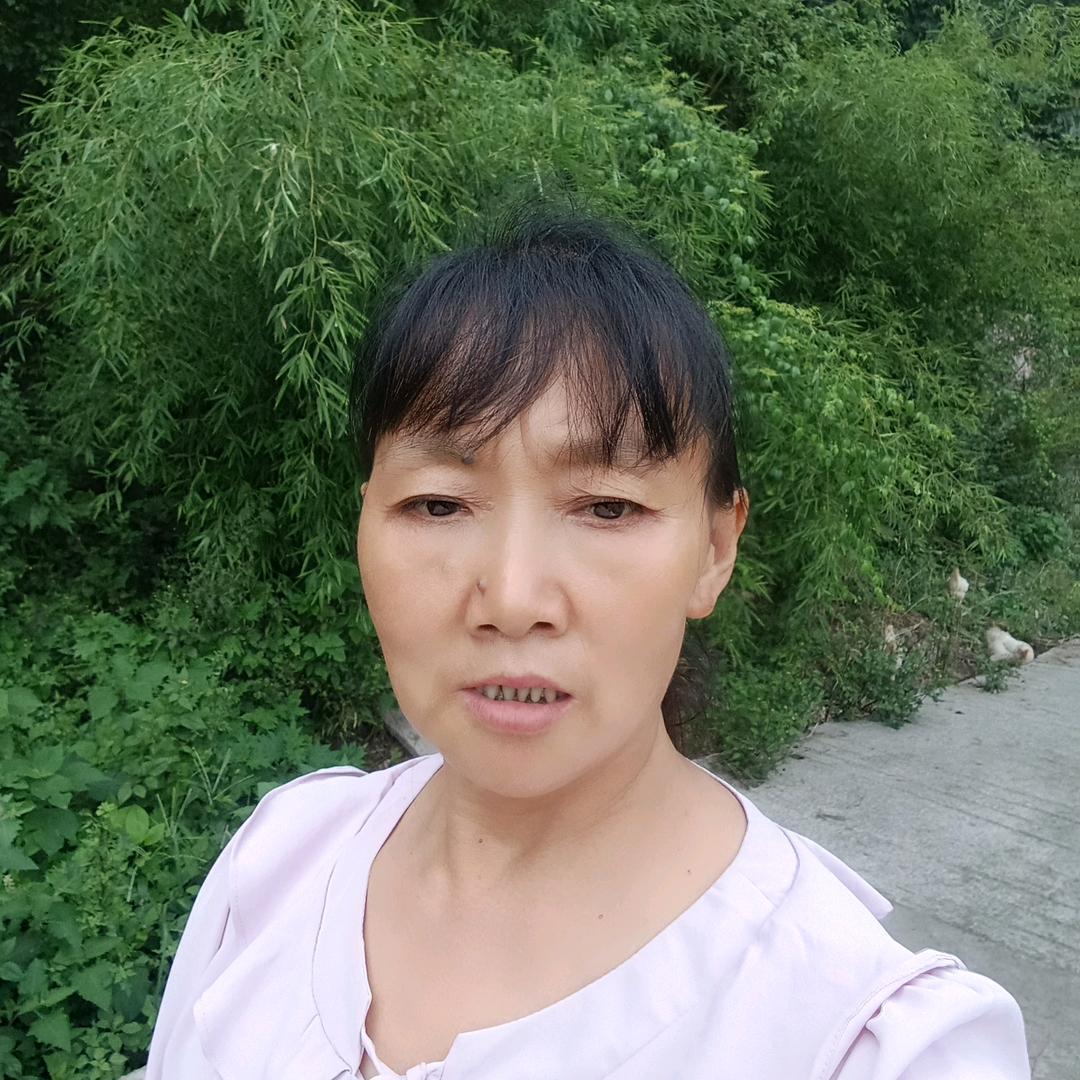 琴娱乐