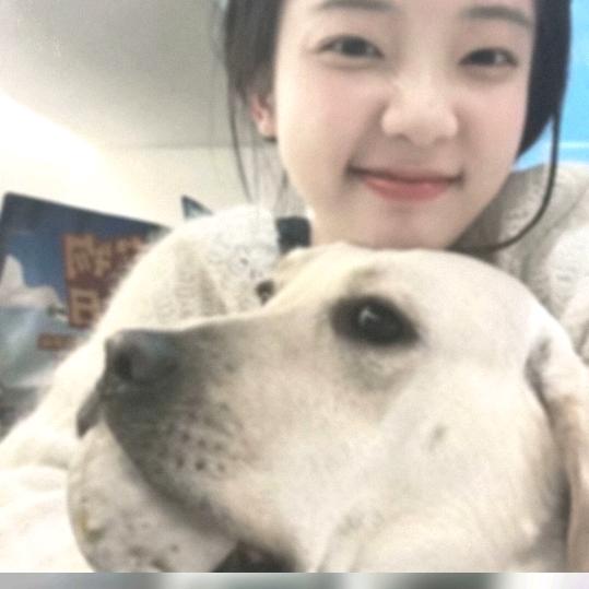 小小白糕