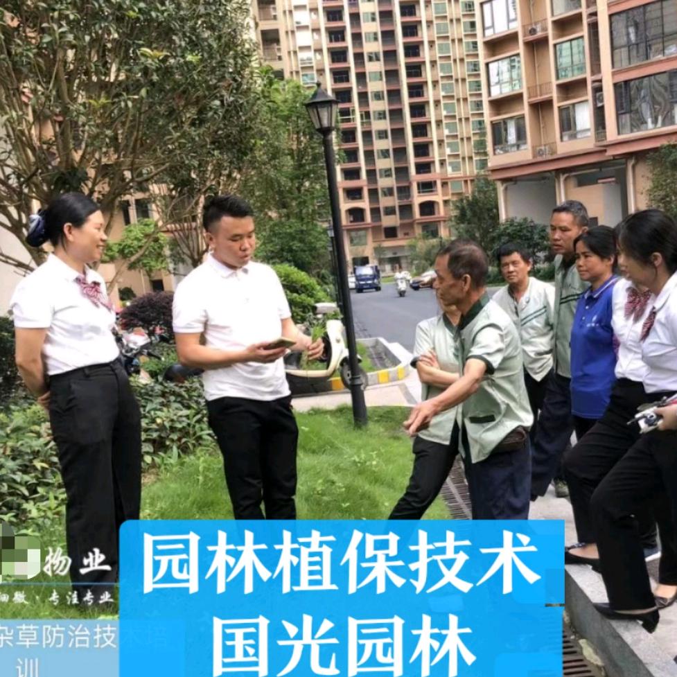 国光园科绿化管养李老师