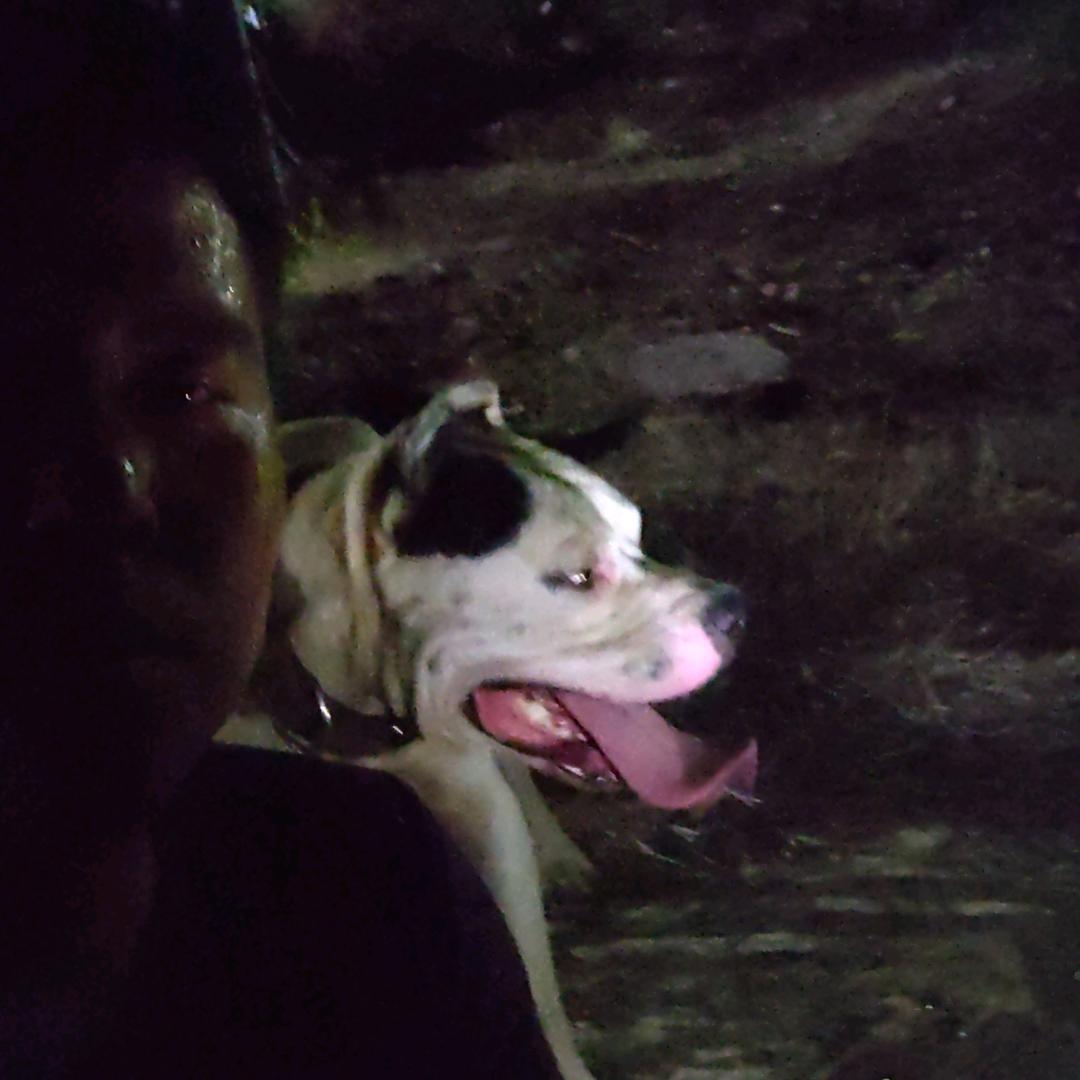 孤狼