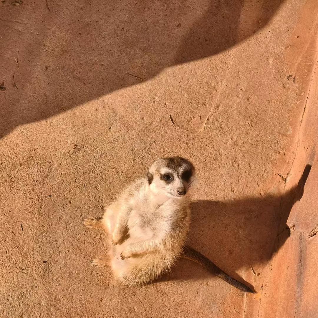 我和你根本没可能好吧