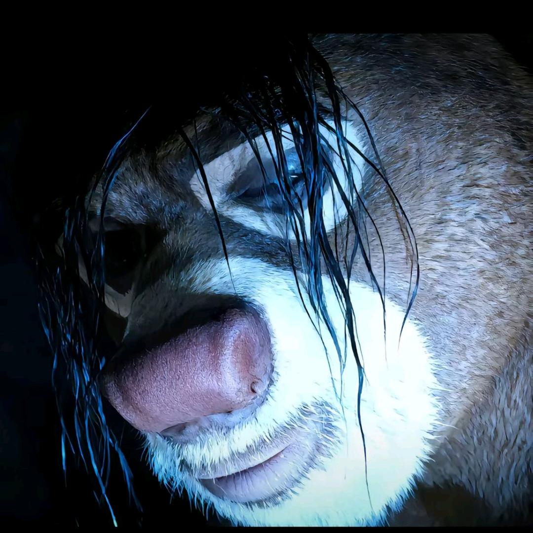 唐伯虎点蚊香！