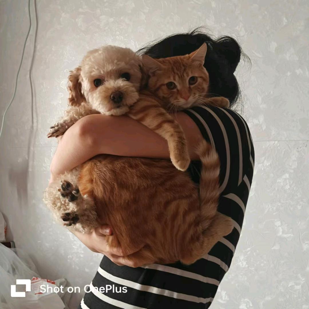 糊涂涂(大乱斗全能选手)