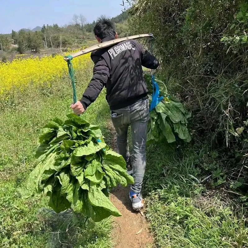 我是新农人