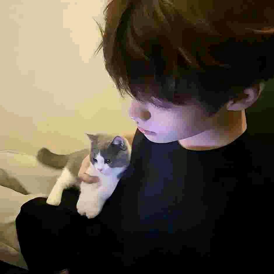 超体千寻（收心碎板）