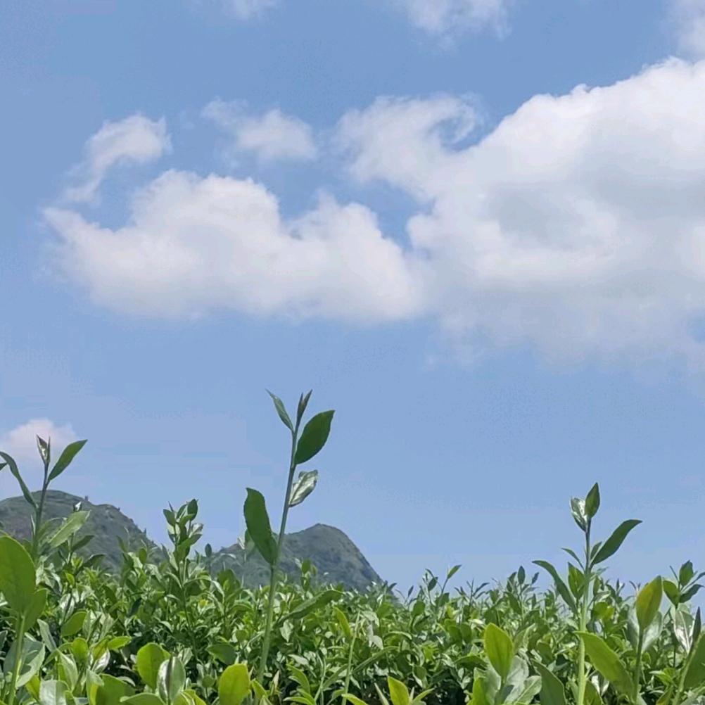 原装快充数据线充电器