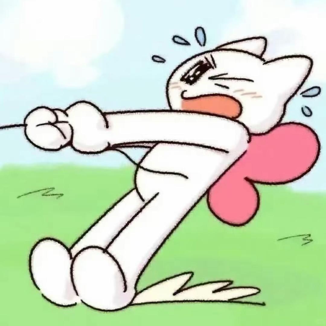 炸毛帕恰狗