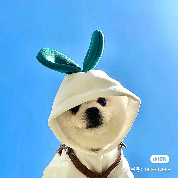 拉普拉斯神兽