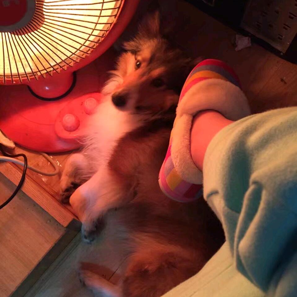 小小潇
