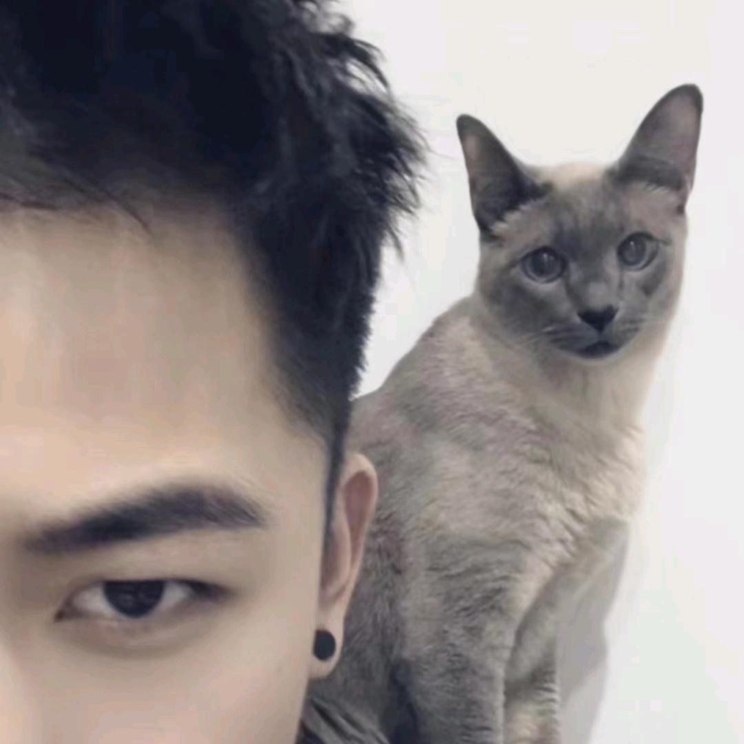 《鱼和燕》 液断果蔬