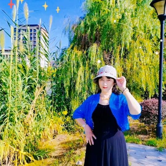 雨夜垂柳1472918315