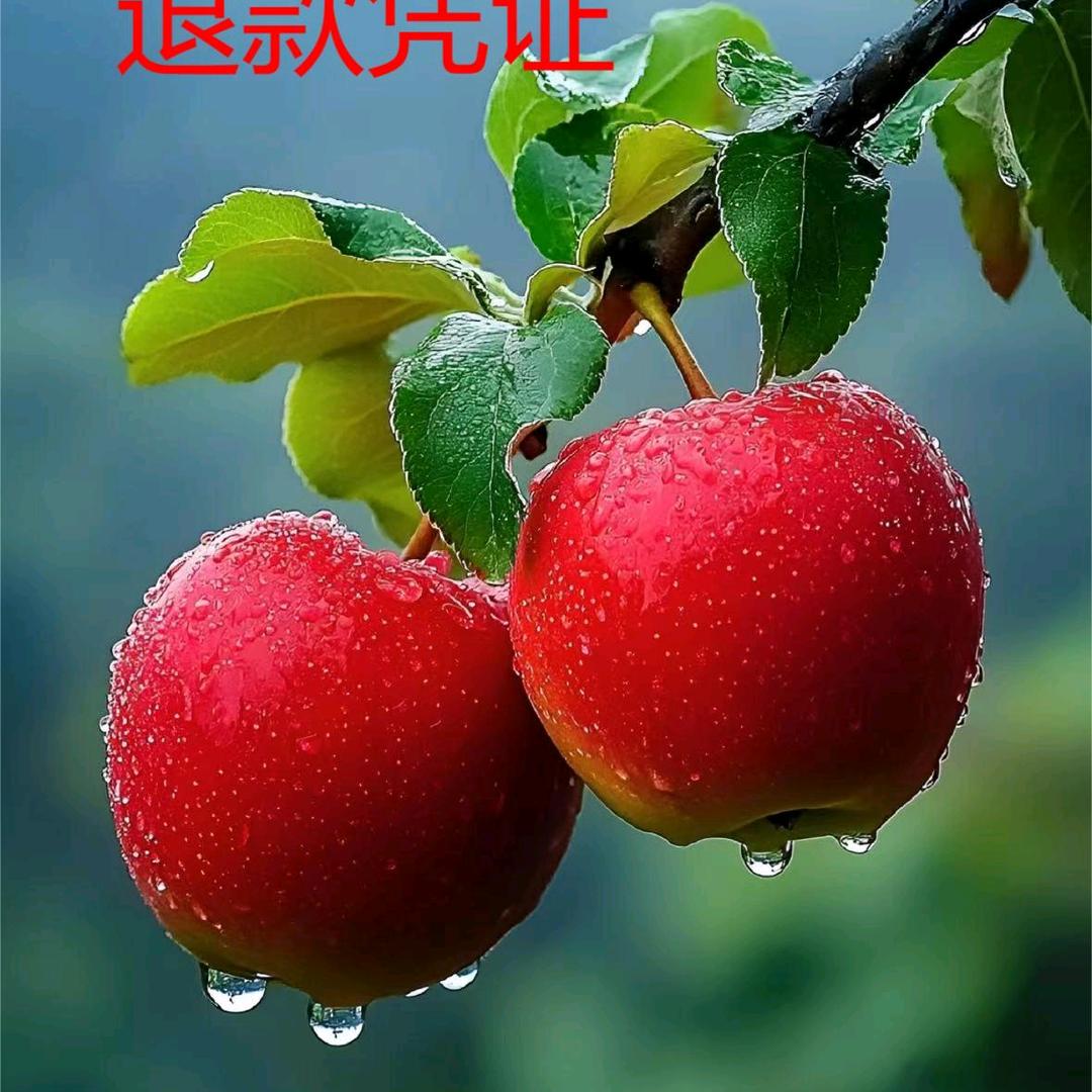 向往砖块