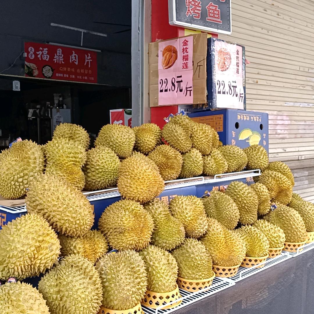 好运莲莲