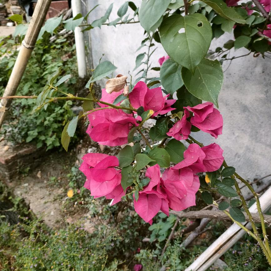 余生相遇