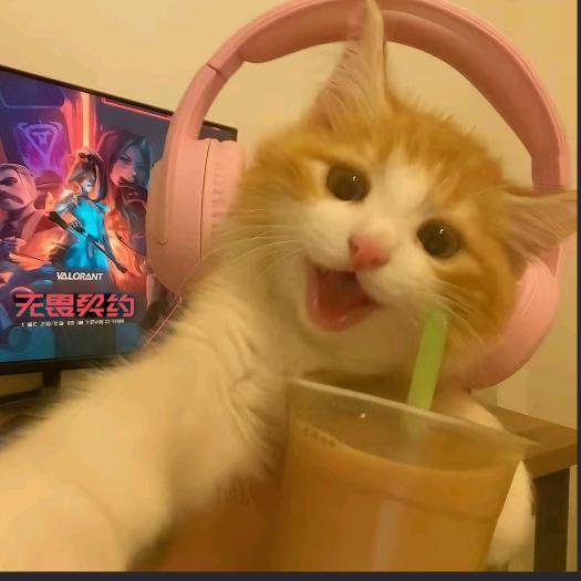 奶茶杀手