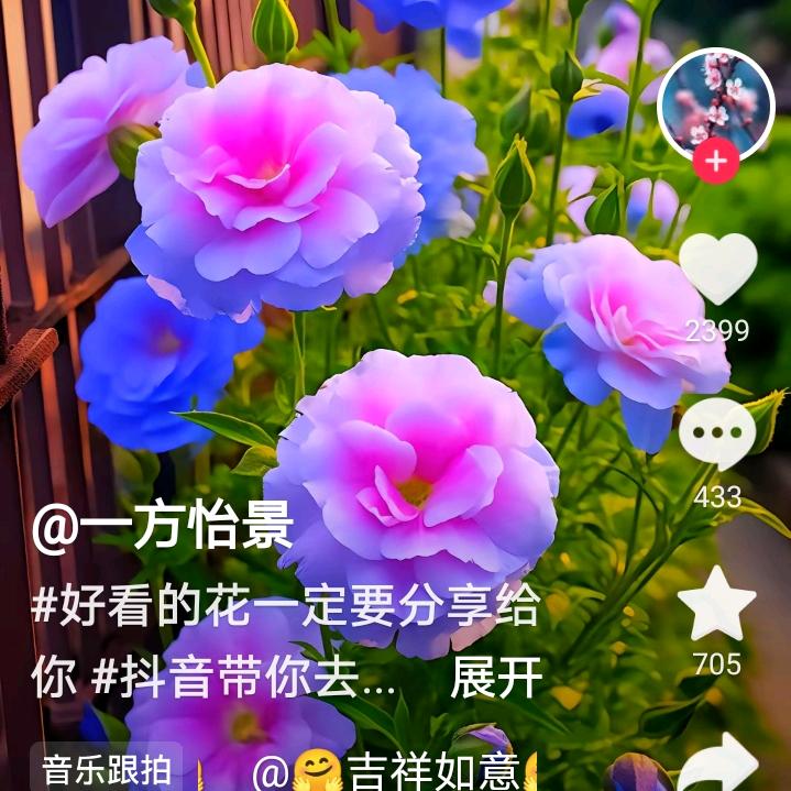 18相送
