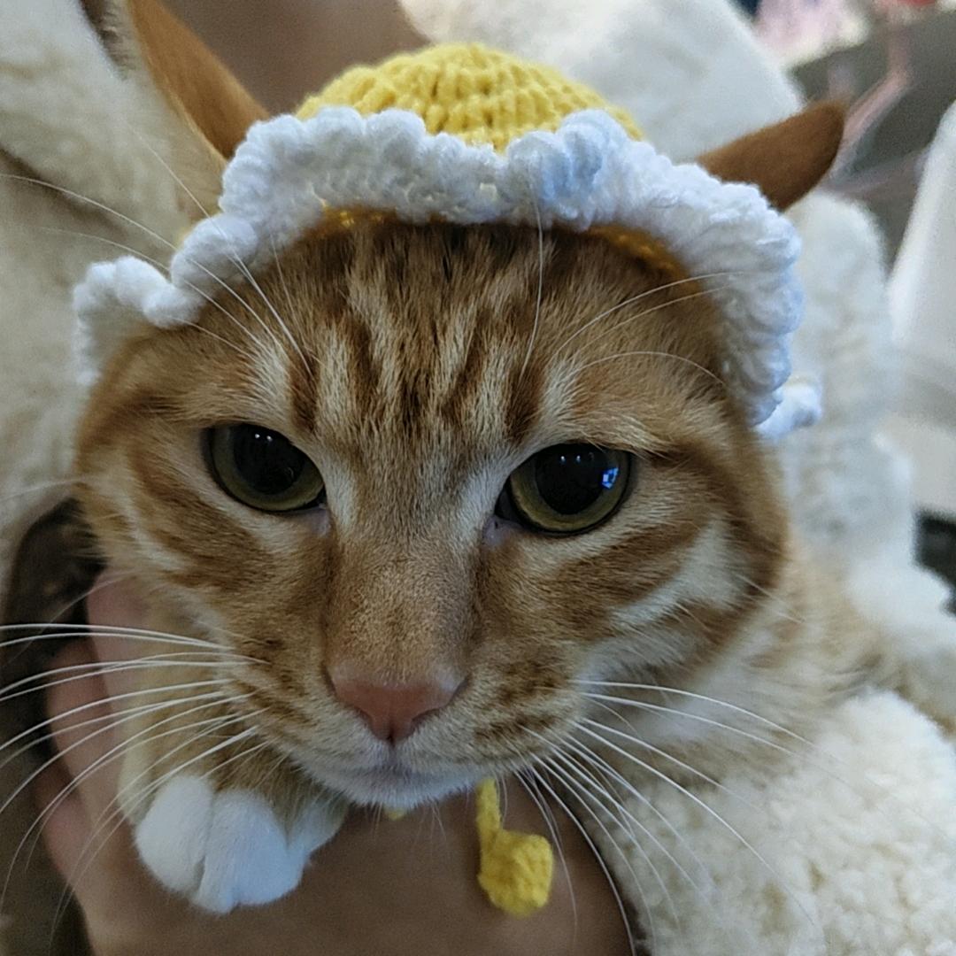 闲鱼被坑被骗找回赔偿协助