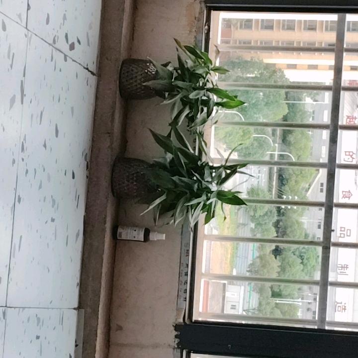 用户88052385