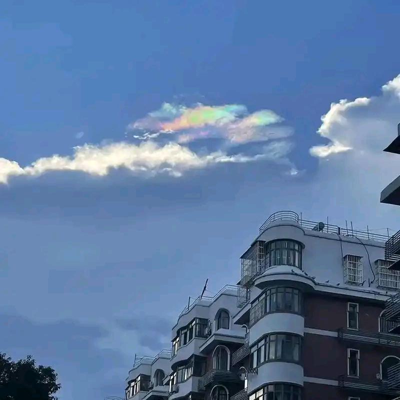 齐鲁颖秀路典哥