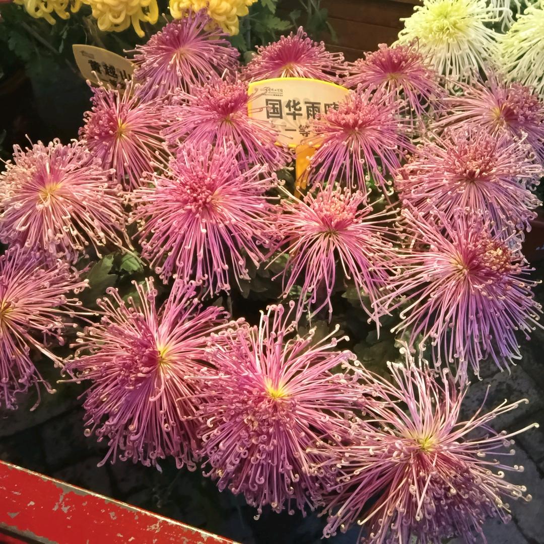 涛涛
