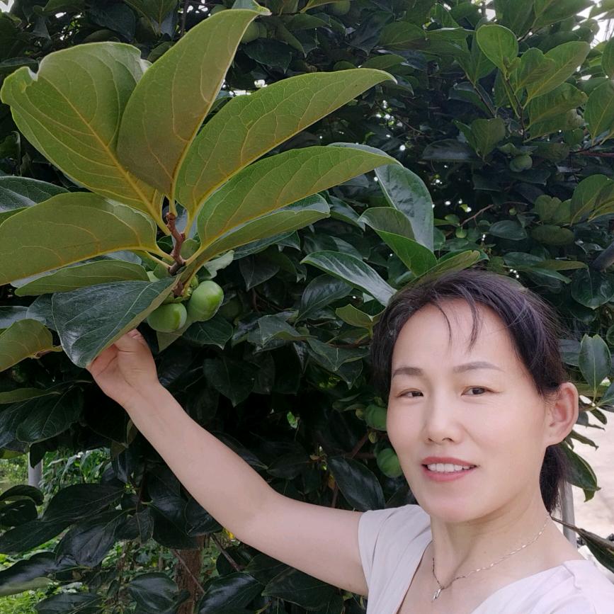 水仙花