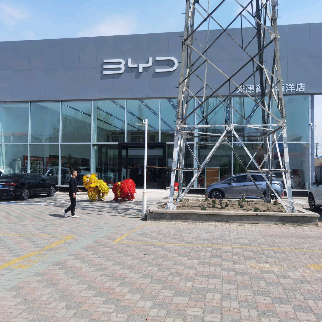 BYD宁河鑫川店的龙哥