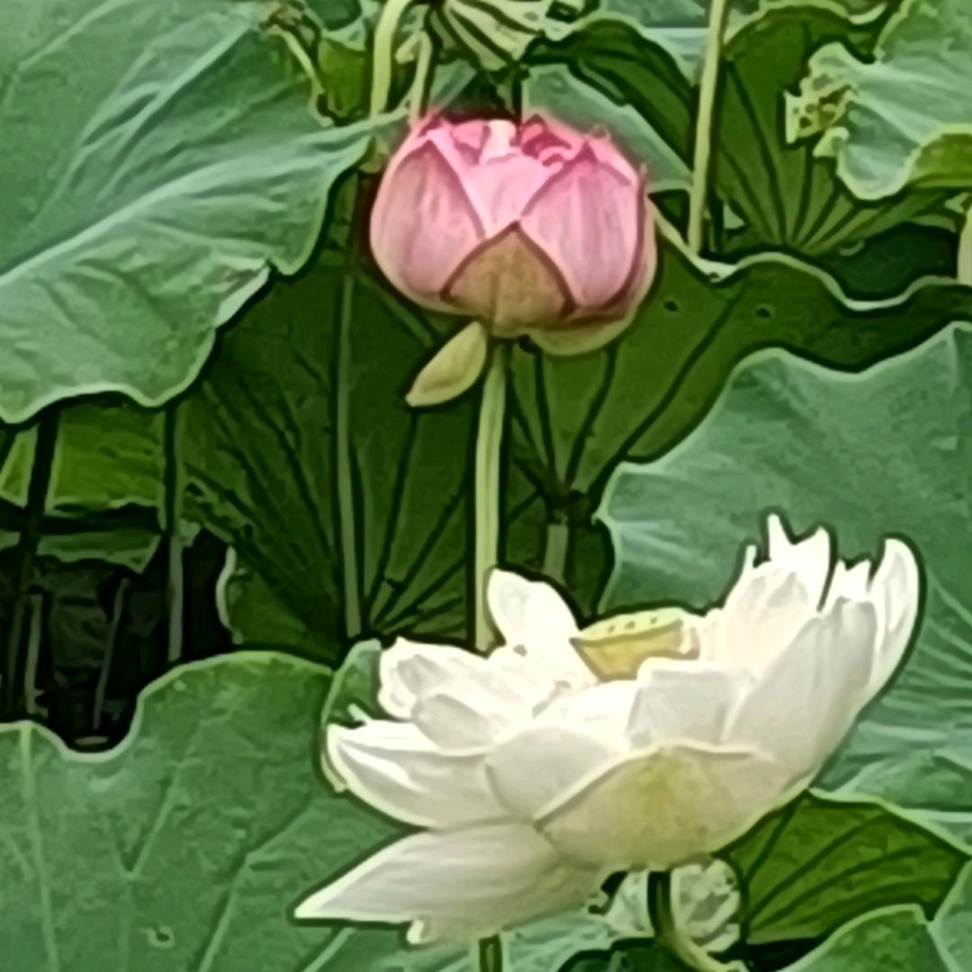 小伟…