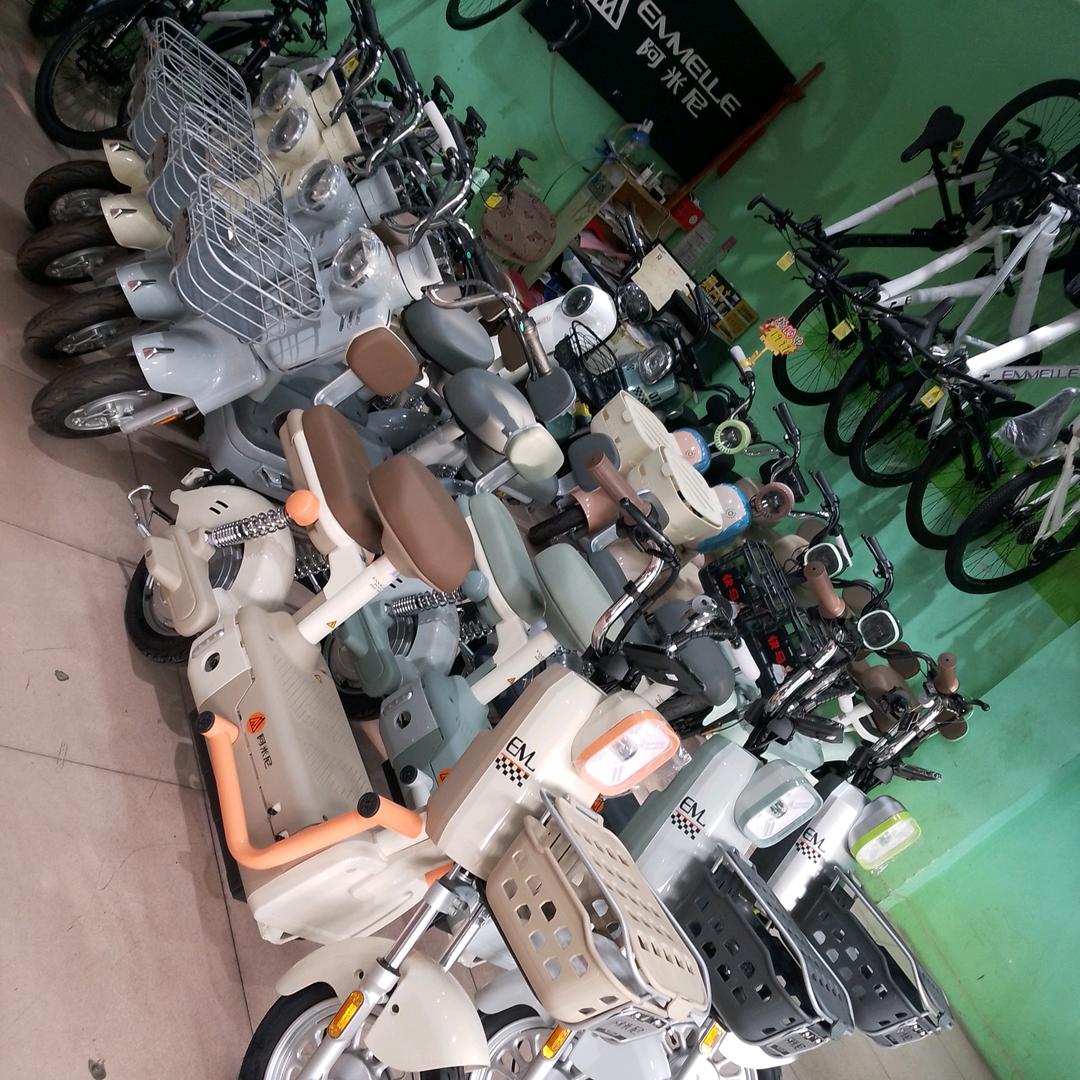 王瓜店阿米尼电动车山地车