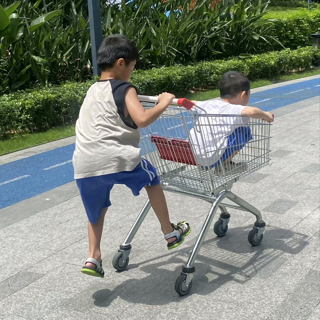 深圳入户—深圳人