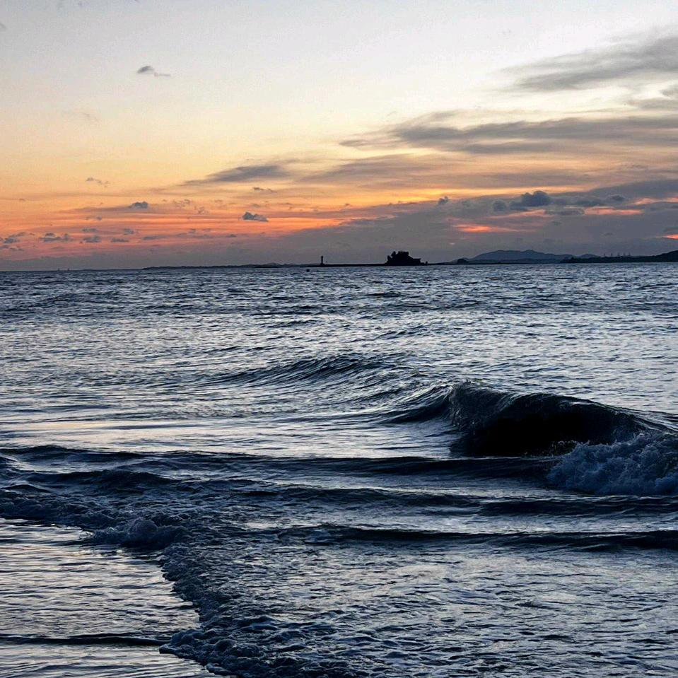 霜降୧⍤⃝🌻（退网版）。