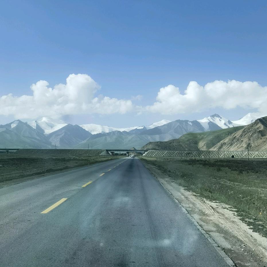 沙漠胡杨
