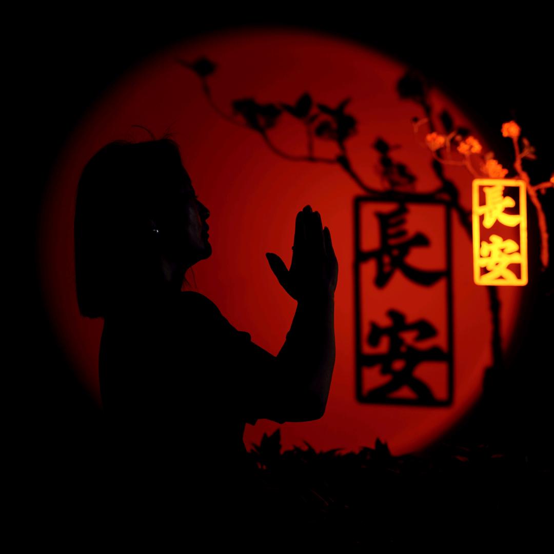 一语惊鸿