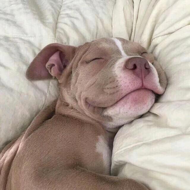 星
